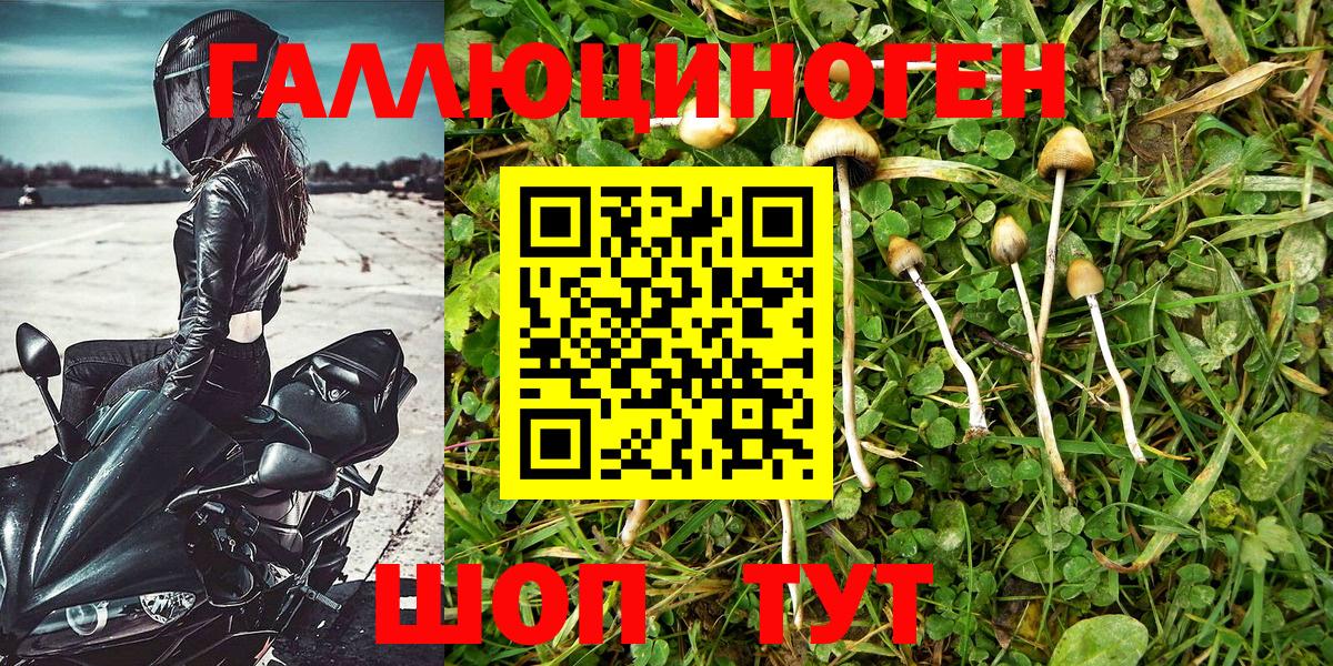 Галлюциногенные грибы Magic Shrooms Новотроицк