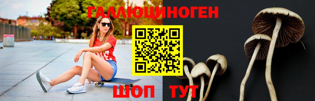 Псилоцибиновые грибы Psilocybe  Вход с VPN  Новотроицк 